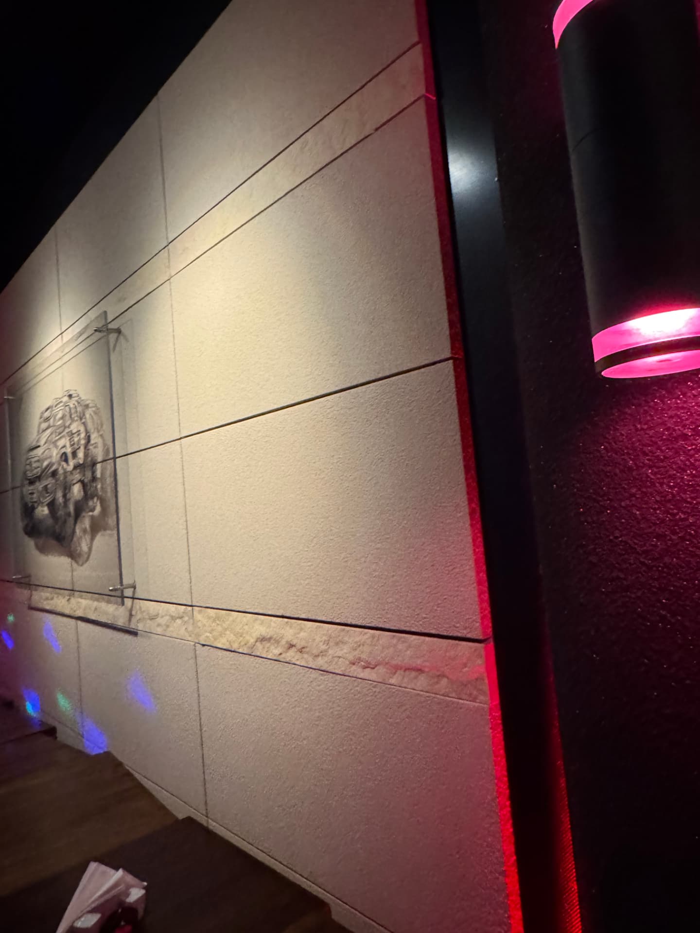 Stan zastany — sala, sanitariaty i teren zewnętrzny — zdjęcie 9